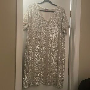 Silver Sequin lined Dress